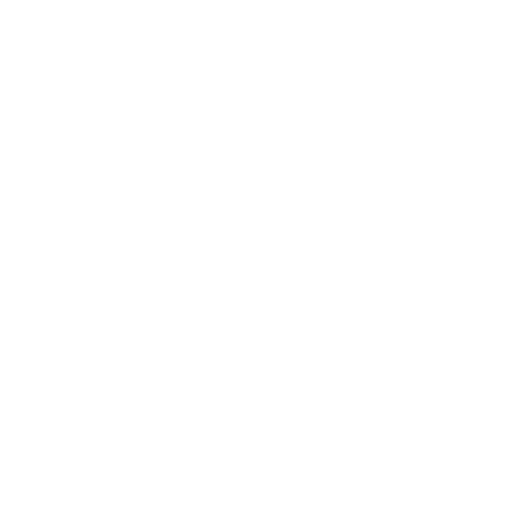 Institute for Social Entrepreneurship