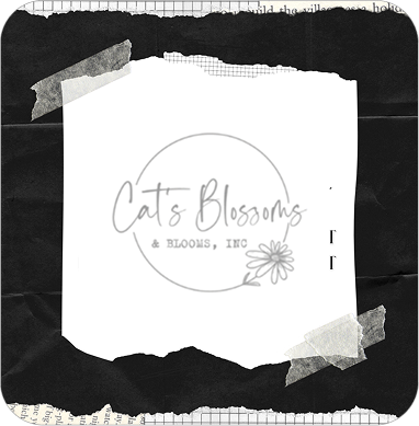 Cat’s Blossoms & Blooms